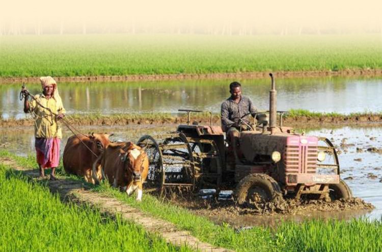 Agriculture Lags as India’s Q2 Growth Hits 8.2 percent