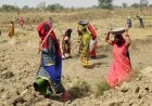 NREGA Sangharsh Morcha Slams Proposed Bill to Repeal MGNREGA, Calls It 'Rollback of Workers' Rights'