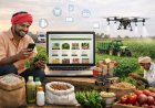 Can E-commerce Solve the Problem of Input Quality in Indian Agriculture?