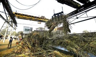 Sugarcane Crushing Gains Momentum, But Uncertainty Over Sugar MSP and Ethanol Prices