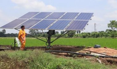 Parliamentary Committee Says Solar Schemes Are Bypassing Farmers, Warns of Systemic Failures