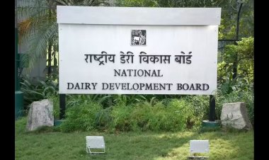 Government Initiates Search for Next NDDB Chief; Applications Open Till Dec 20