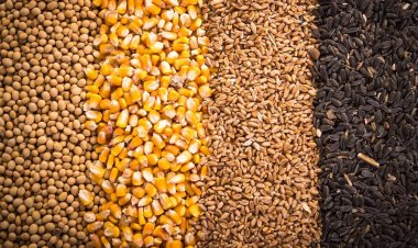 CoBank Signals Commodity Prices May Have Bottomed Out