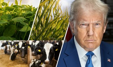 US Unveils Major Farm Relief Package to Support Crop and Dairy Producers Amid Market Stress