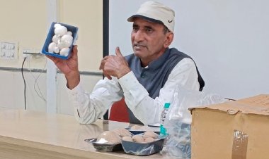 Rising Pollution Clouds Mushroom Farming Prospects in Delhi-NCR Despite Market Growth