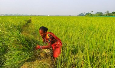 Kisan Diwas 2025: India’s Small Farmers Are the Real Climate Warriors