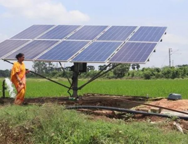 Parliamentary Committee Says Solar Schemes Are Bypassing Farmers, Warns of Systemic Failures