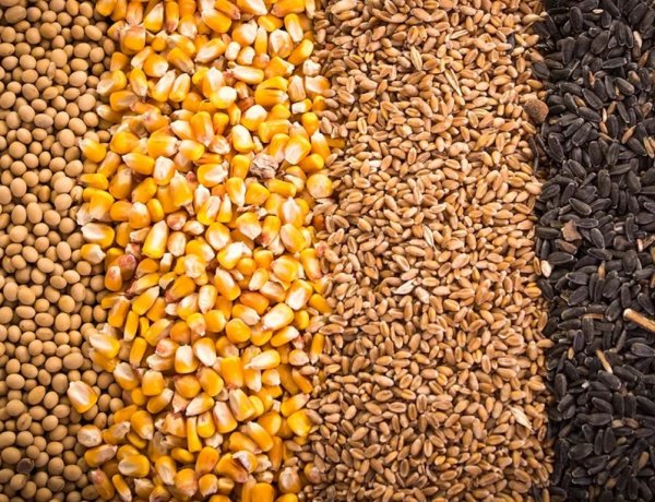 CoBank Signals Commodity Prices May Have Bottomed Out