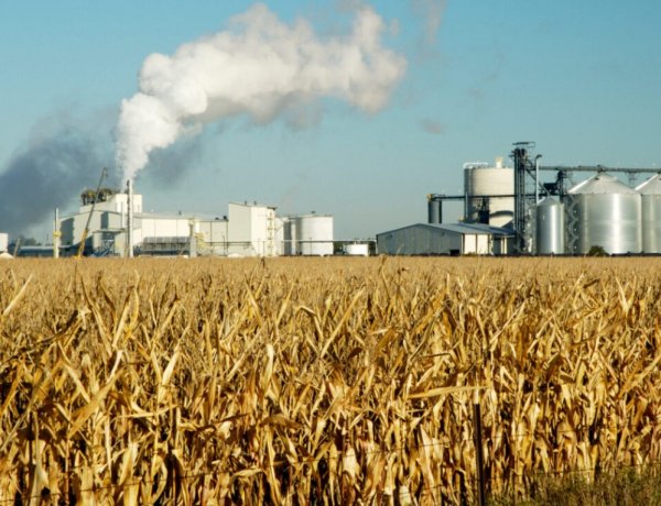 Viksit Bharat and the Farm Economy: Why India’s Net Zero Path Will Be Won—or Lost—in Agriculture