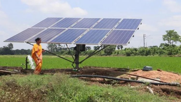 Parliamentary Committee Says Solar Schemes Are Bypassing Farmers, Warns of Systemic Failures