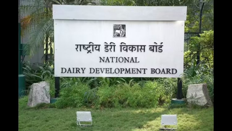 Government Initiates Search for Next NDDB Chief; Applications Open Till Dec 20