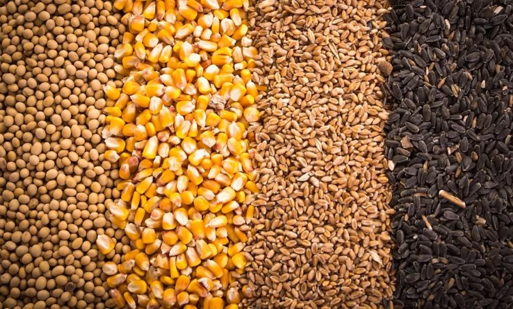 CoBank Signals Commodity Prices May Have Bottomed Out