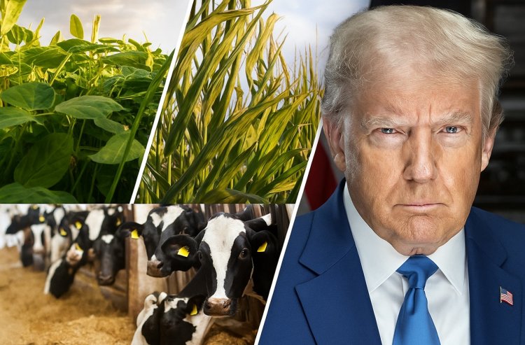 US Unveils Major Farm Relief Package to Support Crop and Dairy Producers Amid Market Stress