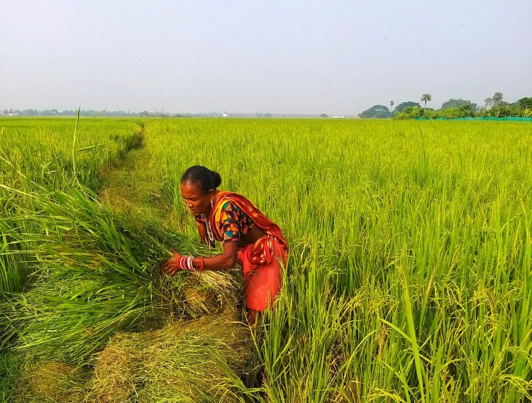 Kisan Diwas 2025: India’s Small Farmers Are the Real Climate Warriors