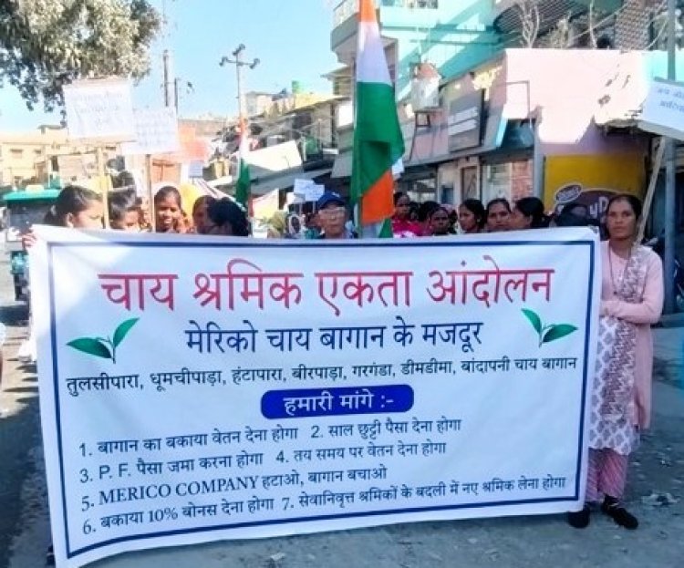 Tea Garden Workers in Alipurduar Stage Protest Over Unpaid Wages, Bonus & Allowances