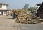 Uttar Pradesh Bars New Khandsari Units Within 15 km of Sugar Mills, Policy Changes Hits Small Industries