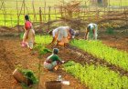 Code on Wages 2019: A Pathway to Inclusive Growth in Indian Agriculture