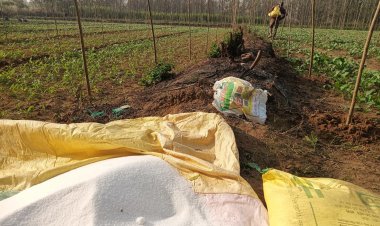 India’s Growing Fertilizer Import Dependence: Urea Imports Jump 120 pc, DAP Up 54 pc