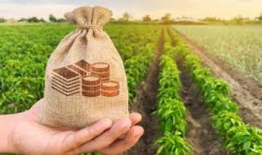India’s Farm Income Gap Puts Pressure on Budget 2026–27 Priorities