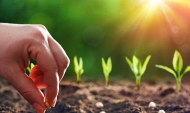 Seed Bill 2025: A Historic Reset for India’s Seed Sector