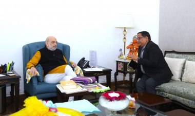 IFFCO MD Kirit Kumar J Patel Meets Amit Shah, Highlights Global Expansion of Nano Fertilisers and Cooperative Vision