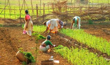 Code on Wages 2019: A Pathway to Inclusive Growth in Indian Agriculture
