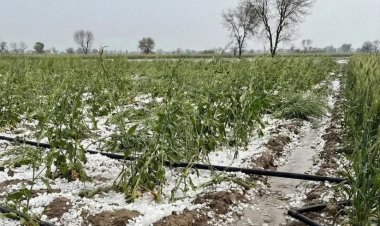 Western Disturbance Alters North India Weather, Rain and Snowfall Followed by Cold Wave Warning