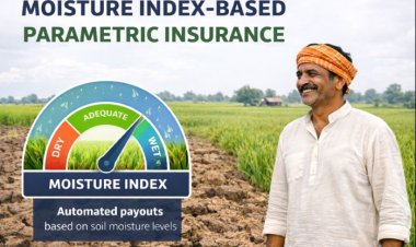 Digit Insurance Pays Moisture Index-Based Parametric Insurance Claims to Rajasthan Farmers