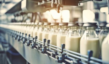 China’s Dairy Pivot: How the World’s Biggest Importer Turned into an Export Challenger