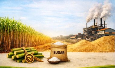 India Produces 195 Lakh Tonnes of Sugar by January 31, ISMA Flags Rising Cane Arrears