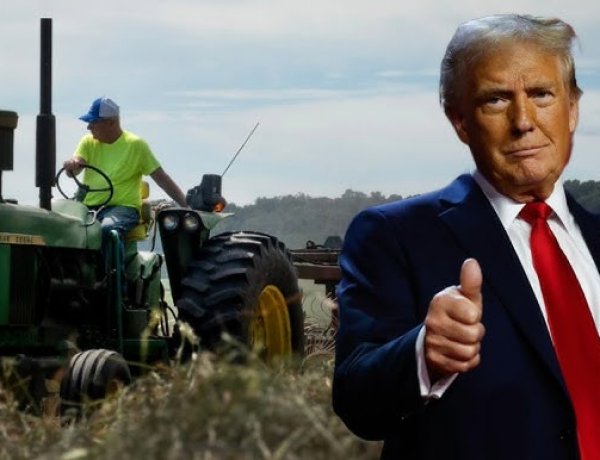 US Rice and Cotton Farmers to Receive Highest Payments Under $12 Billion Agricultural Aid Package