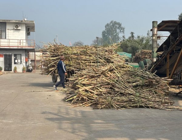 Uttar Pradesh Bars New Khandsari Units Within 15 km of Sugar Mills, Policy Changes Hits Small Industries
