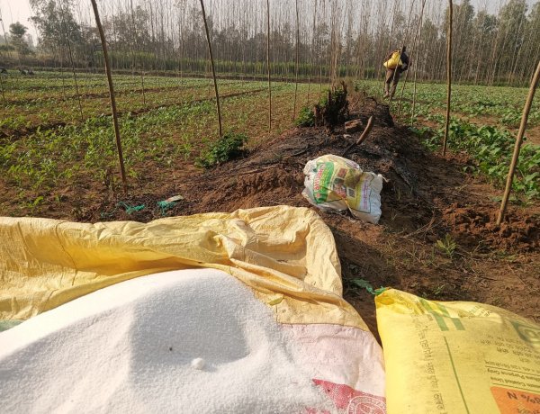 India’s Growing Fertilizer Import Dependence: Urea Imports Jump 120 pc, DAP Up 54 pc