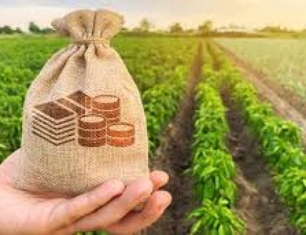 India’s Farm Income Gap Puts Pressure on Budget 2026–27 Priorities