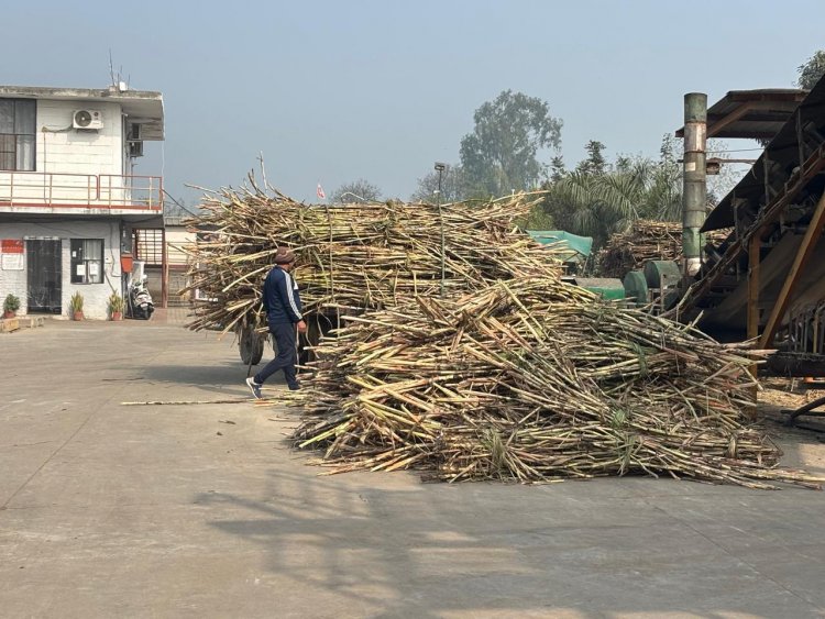 Uttar Pradesh Bars New Khandsari Units Within 15 km of Sugar Mills, Policy Changes Hits Small Industries