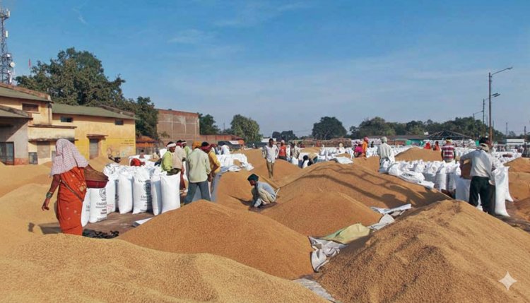 Slow Growth in Agriculture Despite Higher Output Signals Stagnant Farm Incomes
