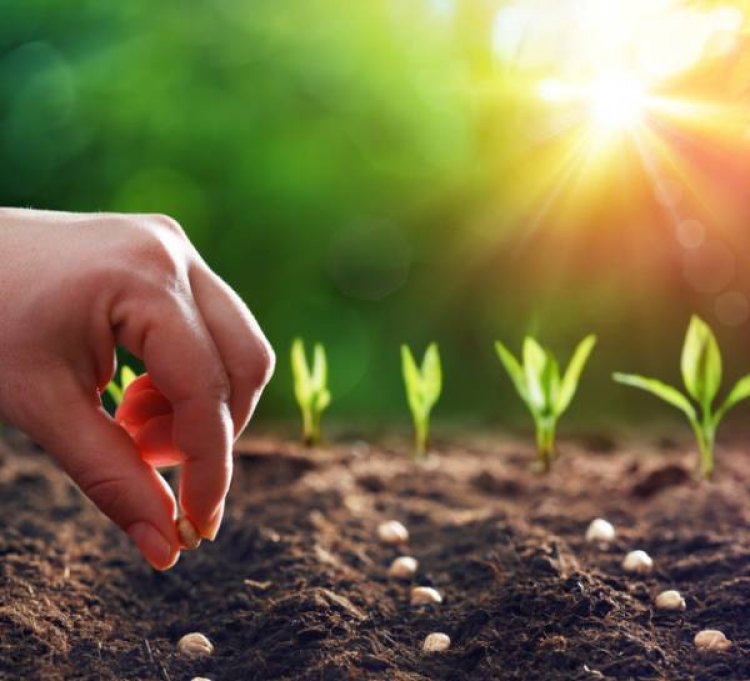 Seed Bill 2025: A Historic Reset for India’s Seed Sector