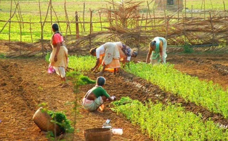 Code on Wages 2019: A Pathway to Inclusive Growth in Indian Agriculture