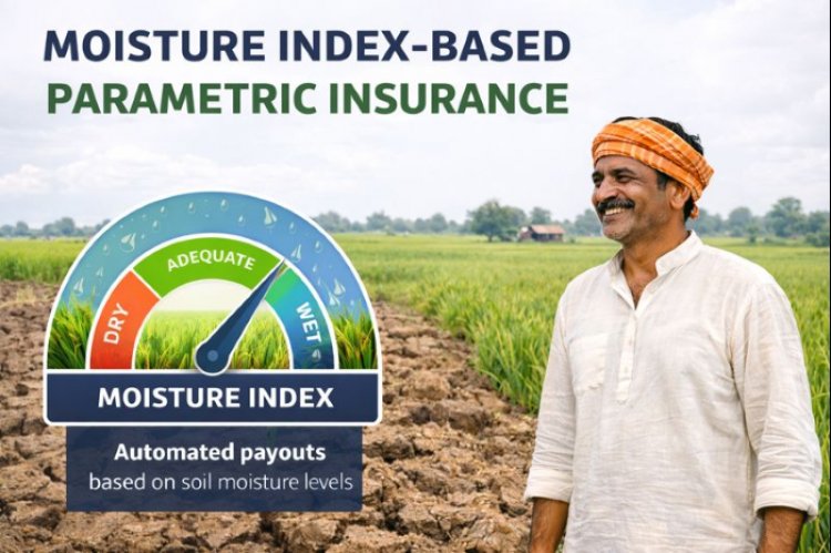 Digit Insurance Pays Moisture Index-Based Parametric Insurance Claims to Rajasthan Farmers