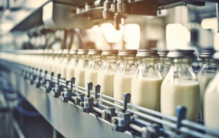 China’s Dairy Pivot: How the World’s Biggest Importer Turned into an Export Challenger