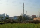 78 Sugar Mills Closed Crushing By Mid-February As 2025-26 Season Turns Challenging