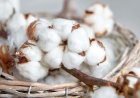 Cotton Imports Surge Amid Production Dip And Trade Deal Concerns