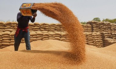 Centre Withdraws Wheat Stock Limit Order as Supplies Improve