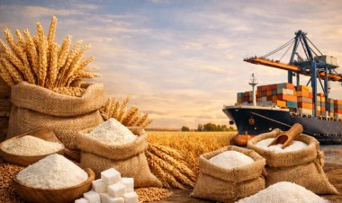 India Allows Wheat Exports, Approves Additional Wheat Products And Sugar Exports