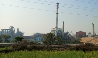 78 Sugar Mills Closed By Mid-February As 2025-26 Season Turns Challenging