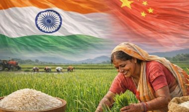 The Real Story Behind India Overtaking China in Rice Production: Productivity Remains the Bigger Challenge
