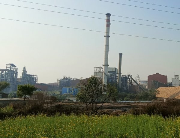 78 Sugar Mills Closed Crushing By Mid-February As 2025-26 Season Turns Challenging