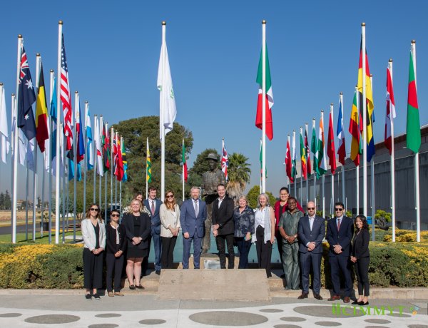 U.S. Government Announces $40 Million Award to CIMMYT to Bolster Global Food Security