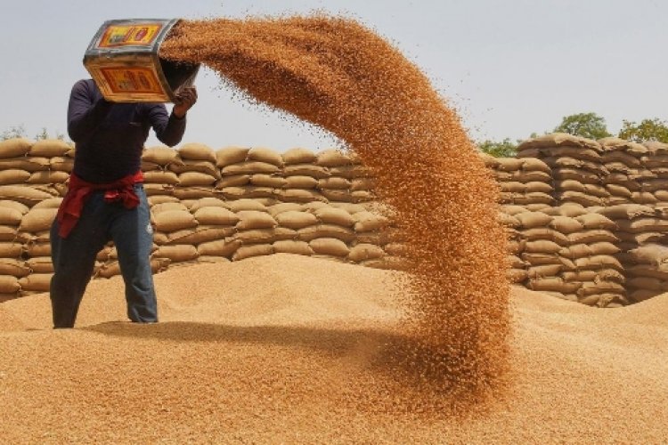 Center withdraws wheat stock limit order due to improvement in supply