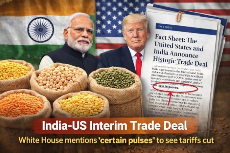India-US trade deal: White House fact sheet includes ‘some pulses’, raising farmers’ concerns